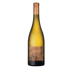 LUNEAU PAPIN MUSCADET SEVRE ET MAINE BLANC TERRE DE PIERRE 75CL