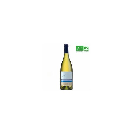 JEFF CARREL PIQUEPOUL BLANC 75CL