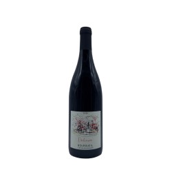 Lamé Delisle Boucard Bourgeuil rouge Déchaînée 75CL